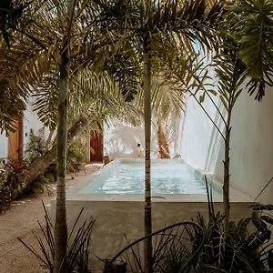 & Madre Self-check In Apartment Isla Holbox